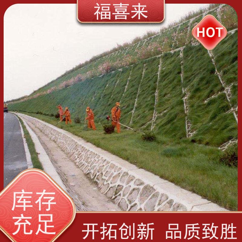 福喜来苗圃 草皮供应 耐寒耐践踏易存活暖季型 常绿耐踩踏