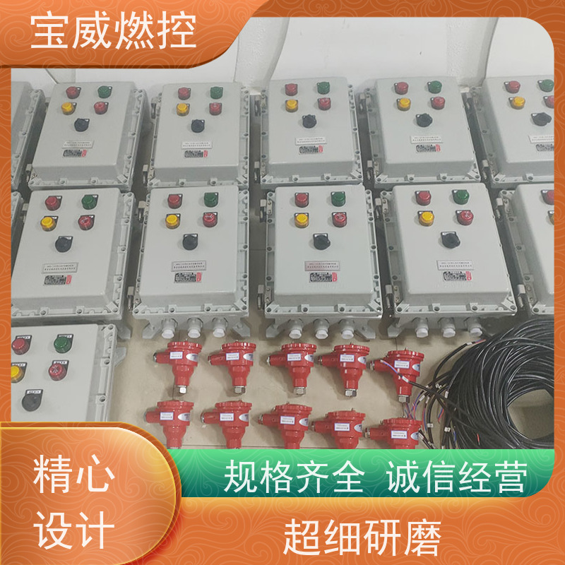 宝威燃控 点火炉 熄火监测报警仪 紫外线型 非标定制