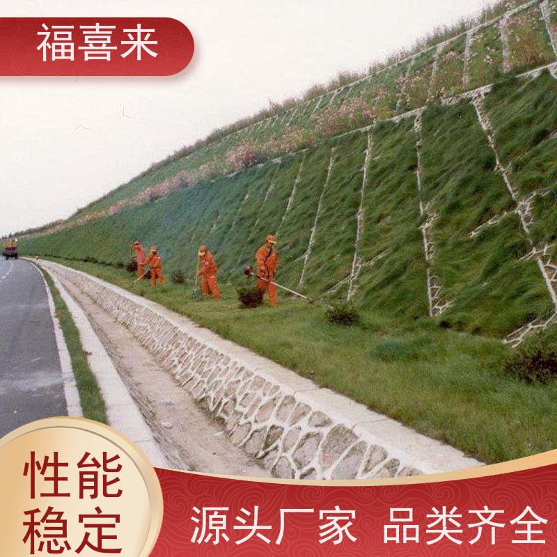 福喜来苗圃 草皮供应 球场用草 耐旱易打理 常绿耐踩踏
