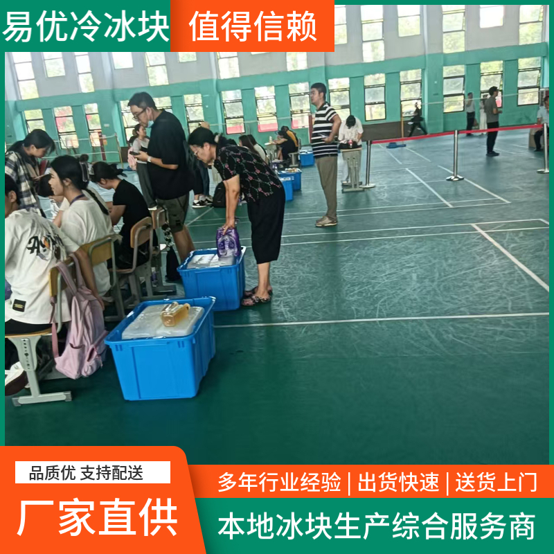 户外活动拓展专用 工业级 降温冰块 水产螃蟹养殖 易优冷