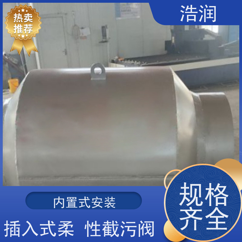 浩润 管中型回流止水阀 拍门 内置式安装 货源充足