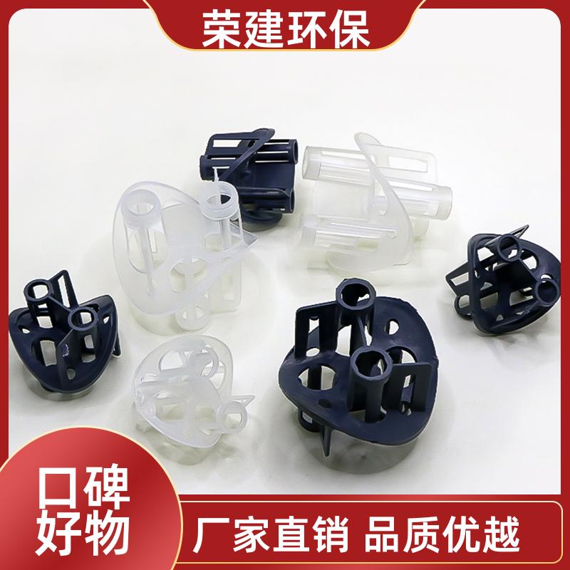 100mm 塑料海尔环 化工散堆填料 规格多样 荣建供应