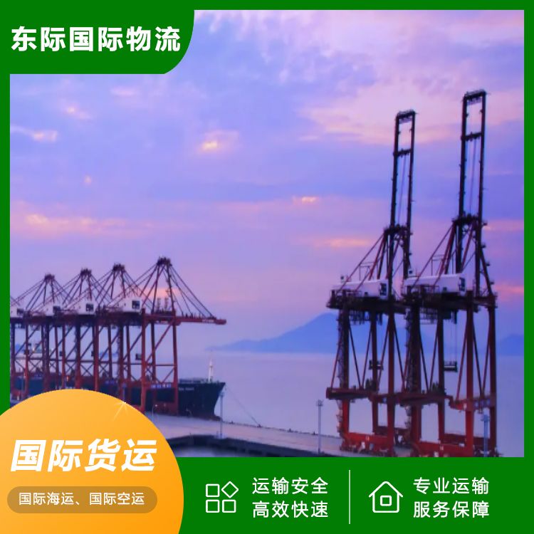 东际物流 东莞到新西兰海运专线 衣柜国际运输 整柜拼箱