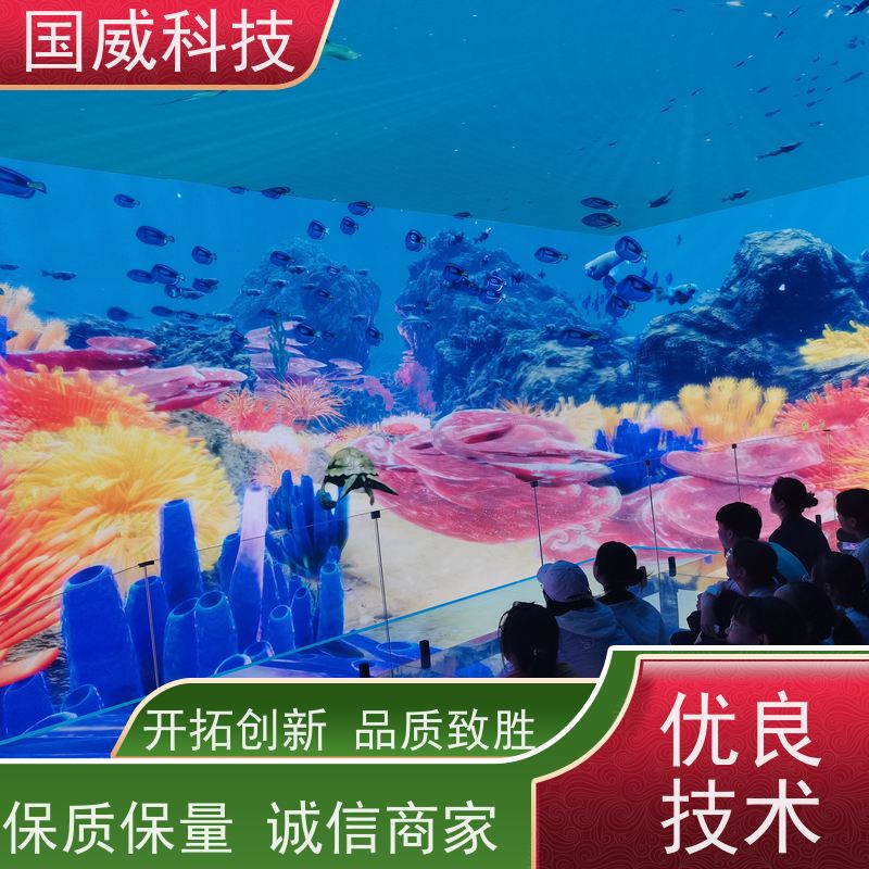 国威科技 景区项目提升 幻境空间 创新 品牌公司
