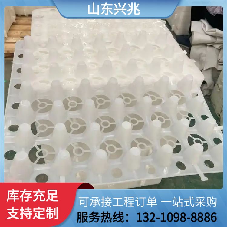 滤水保护层 屋顶种植排水板 复合塑料蓄疏水板 兴兆环境供应