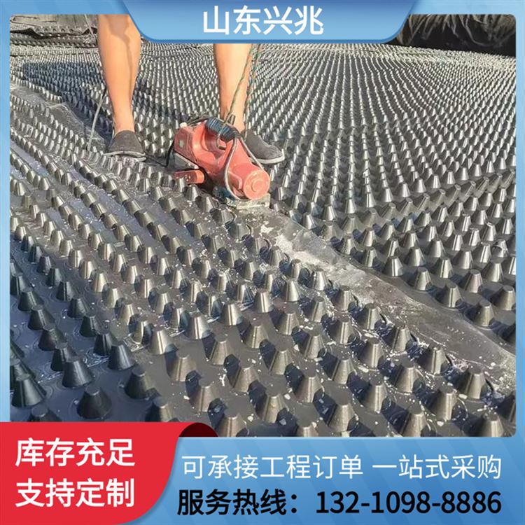 凹凸型蓄排水板车库疏水板 塑料排水板建筑工程HDPE滤水板