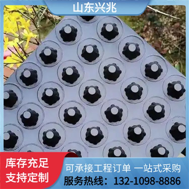 ped18高分子防护排蓄水异型片 车库顶板种植屋面排水板
