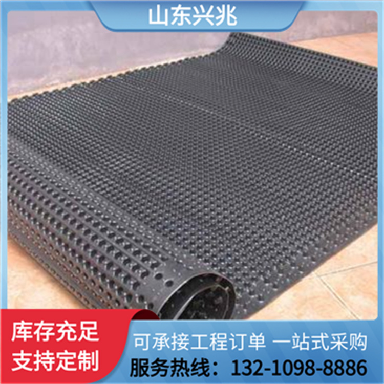 塑料排水板 复合排水网用于地铁 隧道 垃圾填埋场及常见工程