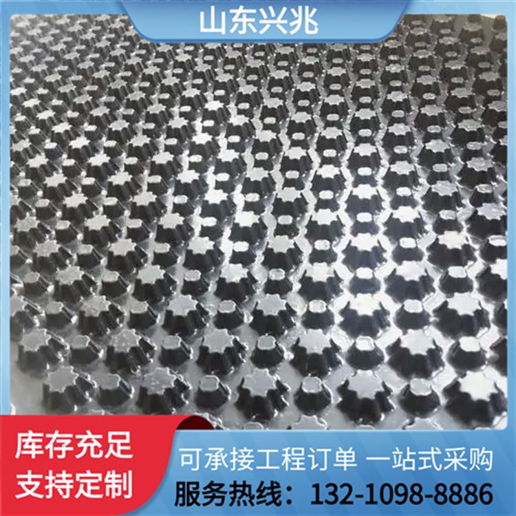 建筑用排水板 车库顶板凹凸型导水板 小区绿化蓄水板批发