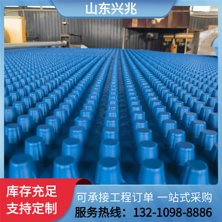 塑料夹层板 虹吸排水板 兴兆环境 地下室顶板排水收集系统 疏水板