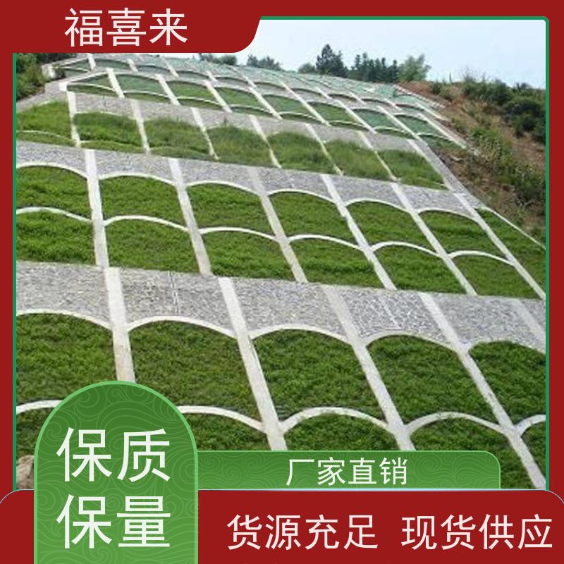 福喜来苗圃 草皮直供 精品货效果好 草坪基地直发