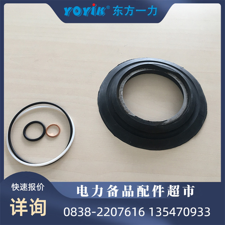 DONGFANG蓄能器皮囊NXQA-4/10L-Y 汽轮机组专用