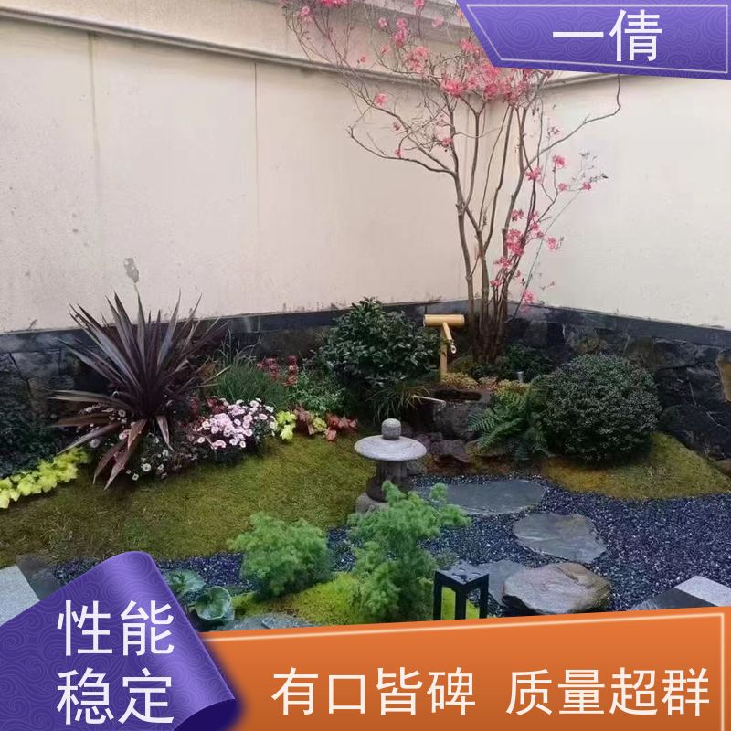一倩花卉 保罗 绿植租赁出售 种类繁多 规格齐全