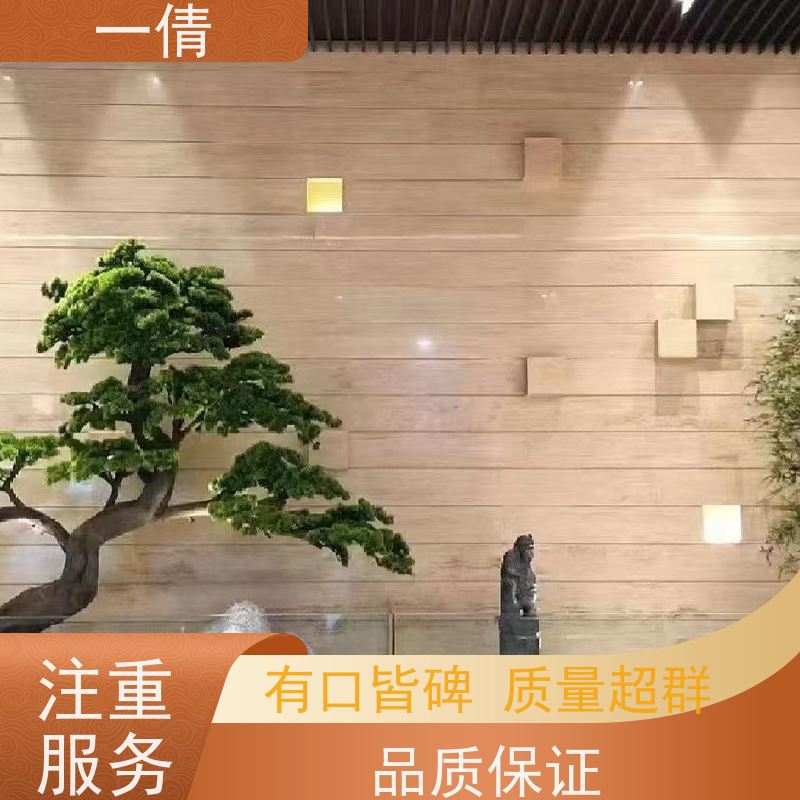 一倩花卉 大年桔盆景 绿植租赁出售 种类繁多 规格齐全