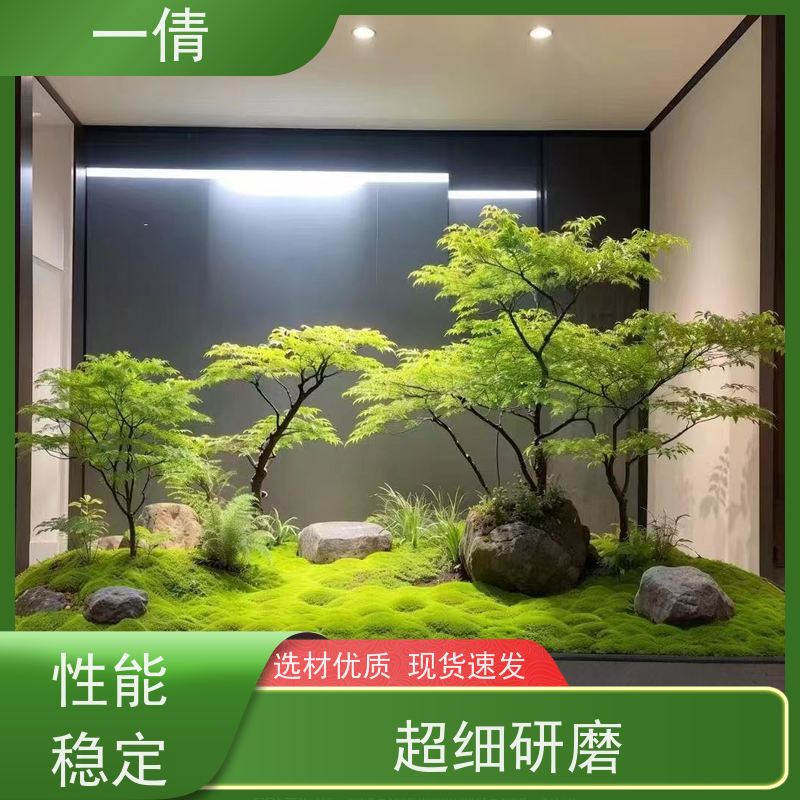 一倩花卉 爱心榕 绿植租赁出售 种类繁多 规格齐全