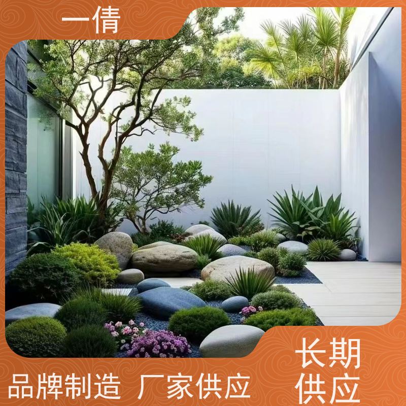 一倩花卉 黄蝴蝶兰 绿植租赁出售 种类繁多 规格齐全
