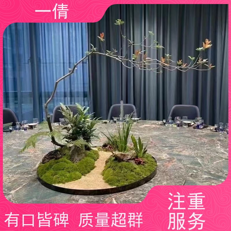 一倩花卉 也门铁 绿植租赁出售 种类繁多 规格齐全
