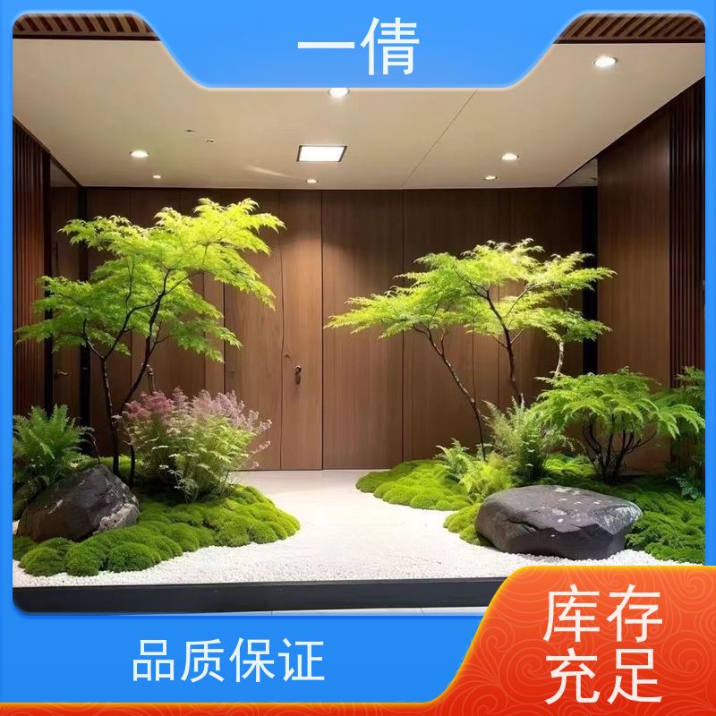 一倩花卉 杜鹃 绿植租赁出售 种类繁多 规格齐全
