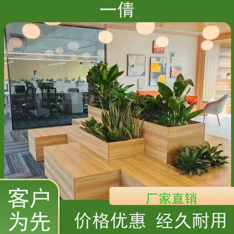 一倩花卉 绿精灵 绿植租赁出售 种类繁多 规格齐全