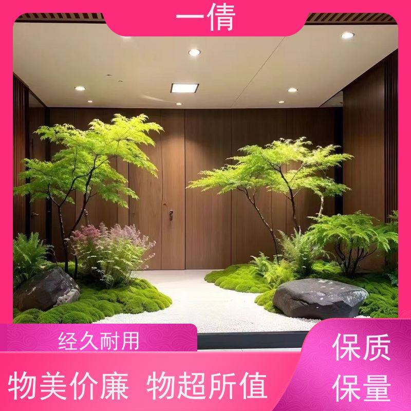 一倩花卉 观音竹 绿植租赁出售 种类繁多 规格齐全