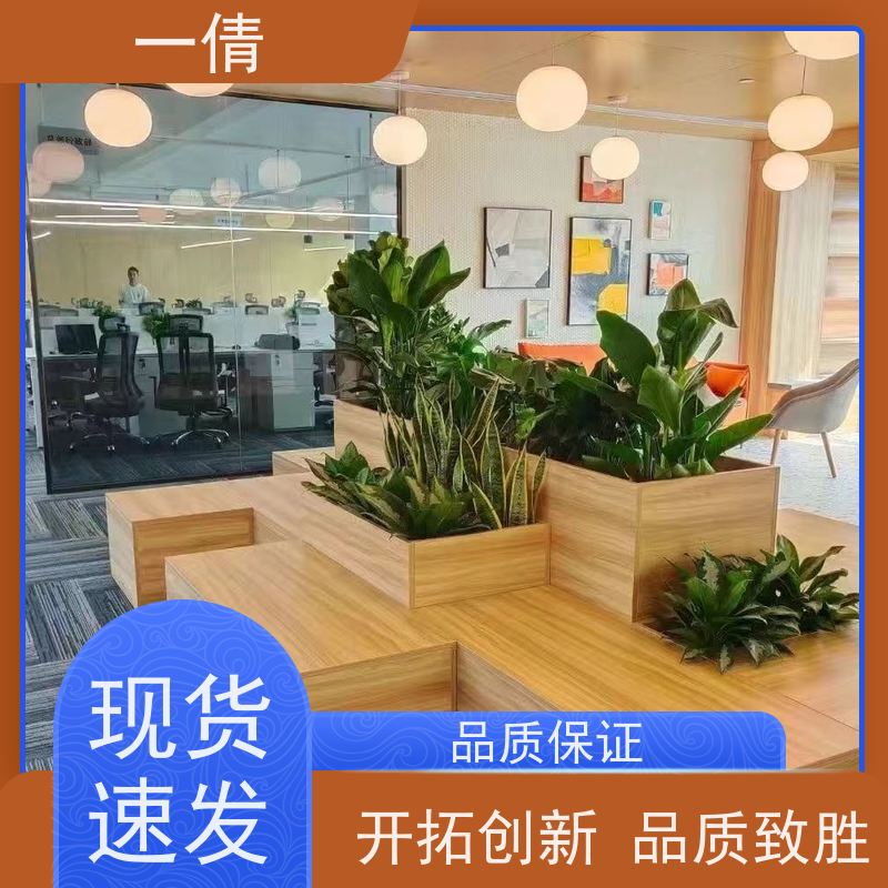 一倩花卉 袖珍椰子 绿植租赁出售 种类繁多 规格齐全