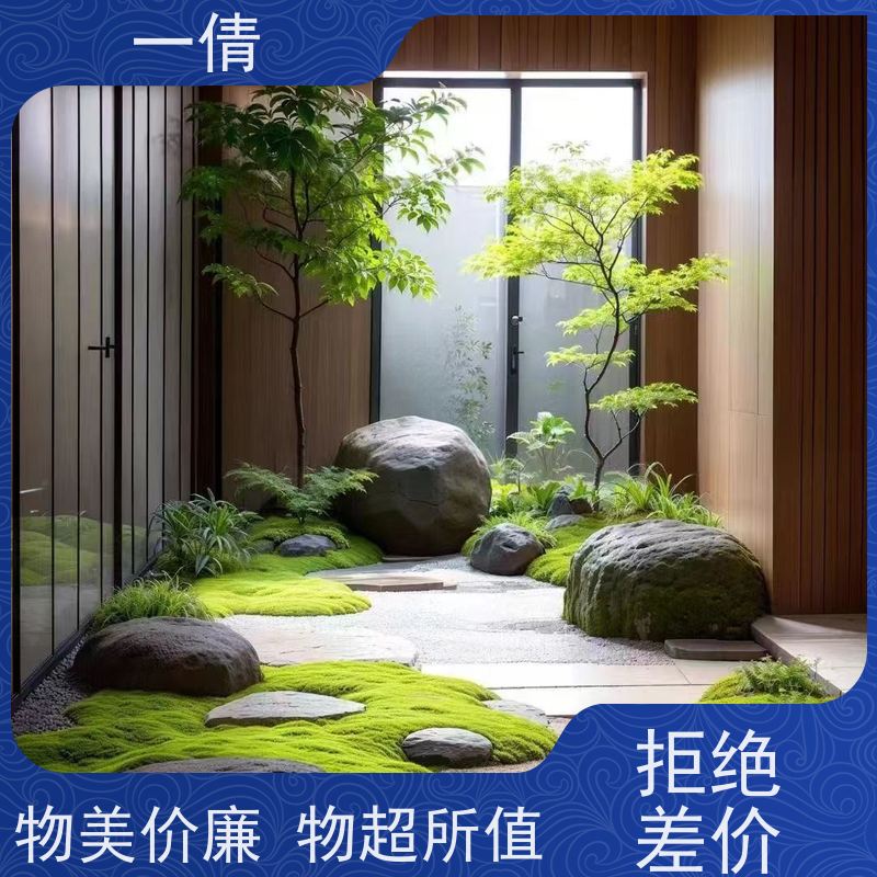 一倩花卉 石斛 绿植租赁出售 种类繁多 规格齐全
