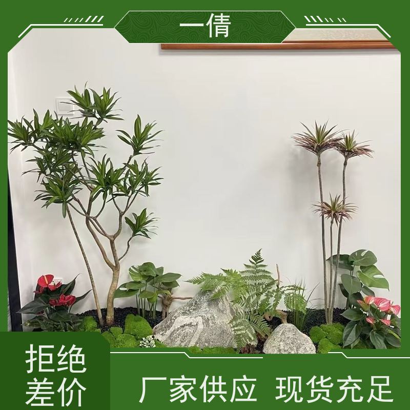 一倩花卉 蝴蝶兰 绿植租赁出售 种类繁多 规格齐全