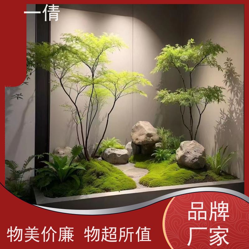 一倩花卉 富贵竹 绿植租赁出售 种类繁多 规格齐全