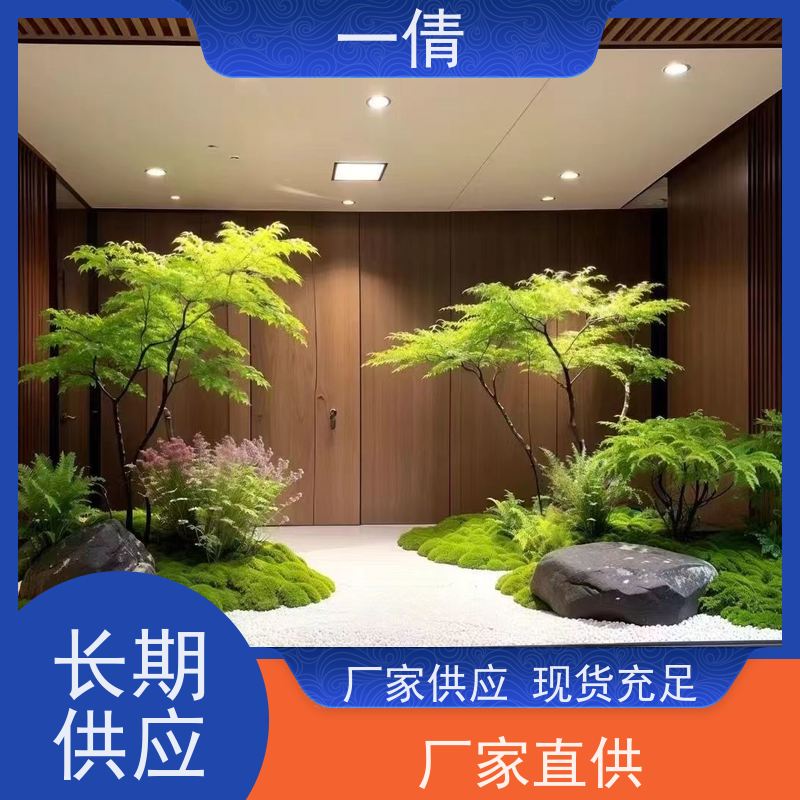 一倩花卉 16寸盆四季桔 绿植租赁出售 种类繁多 规格齐全