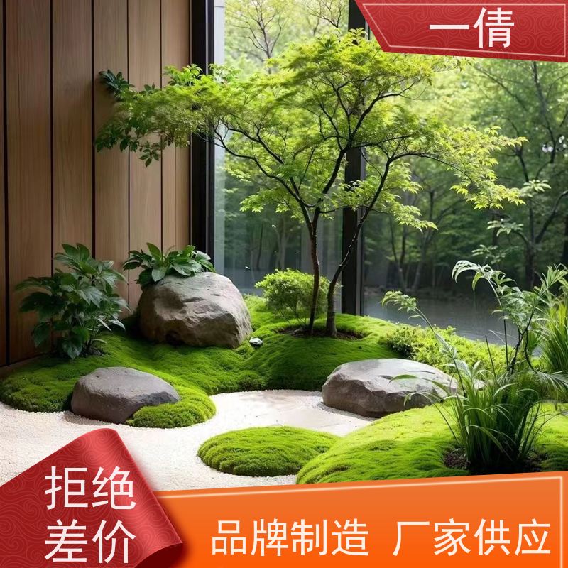 一倩花卉 棕竹 绿植租赁出售 种类繁多 规格齐全