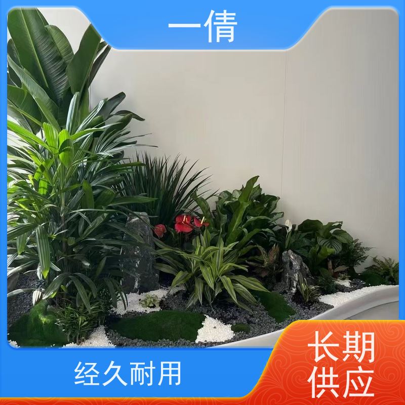 一倩花卉 常春藤 绿植租赁出售 种类繁多 规格齐全