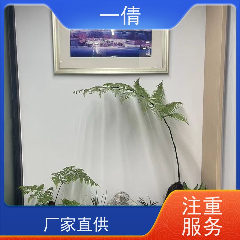 一倩花卉 金心铁 绿植租赁出售 种类繁多 规格齐全