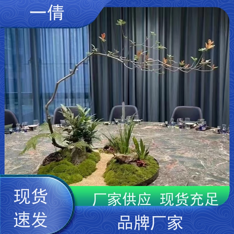 一倩花卉 佛手 绿植租赁出售 种类繁多 规格齐全
