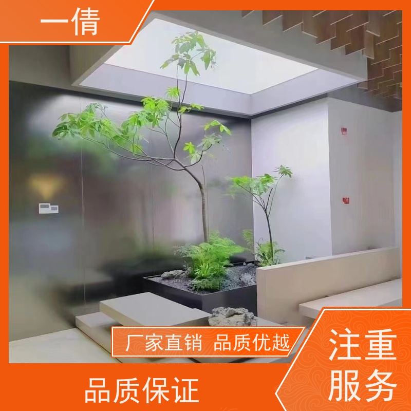 一倩花卉 天堂鸟 绿植租赁出售 种类繁多 规格齐全