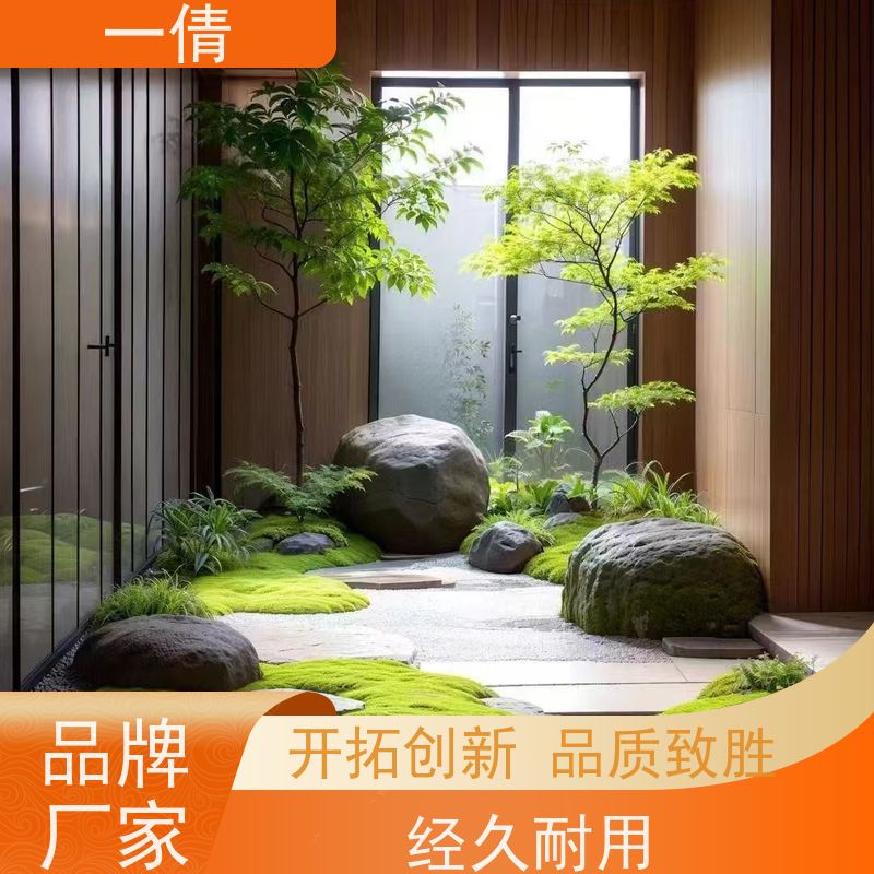 一倩花卉 龟背 绿植租赁出售 种类繁多 规格齐全