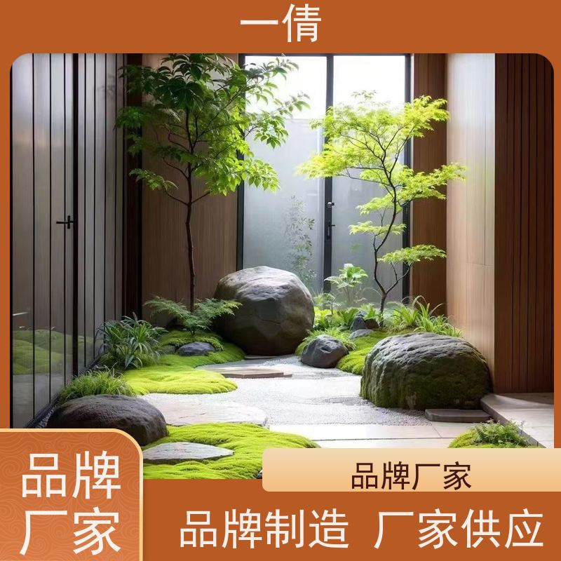 一倩花卉 夏威夷竹 绿植租赁出售 种类繁多 规格齐全