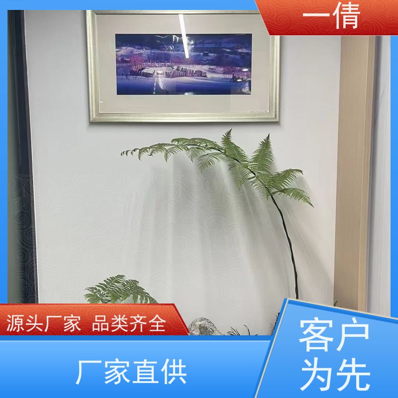 一倩花卉 澳洲杉 绿植租赁出售 种类繁多 规格齐全