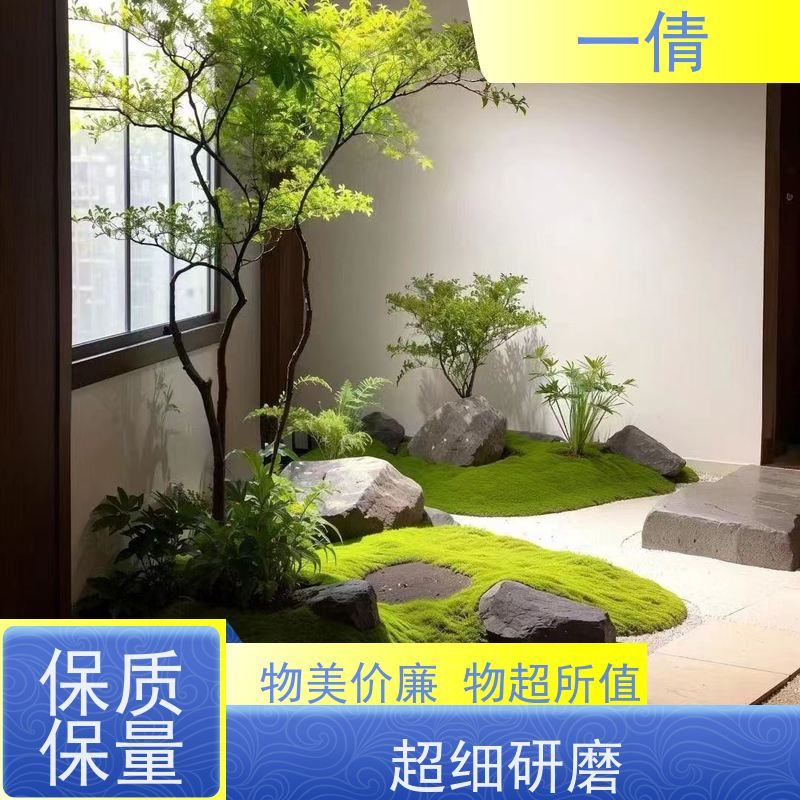 一倩花卉 柠檬树 绿植租赁出售 种类繁多 规格齐全