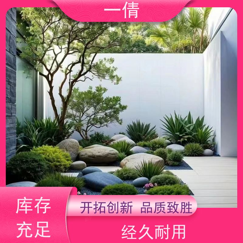 一倩花卉 小年桔盆景 绿植租赁出售 种类繁多 规格齐全