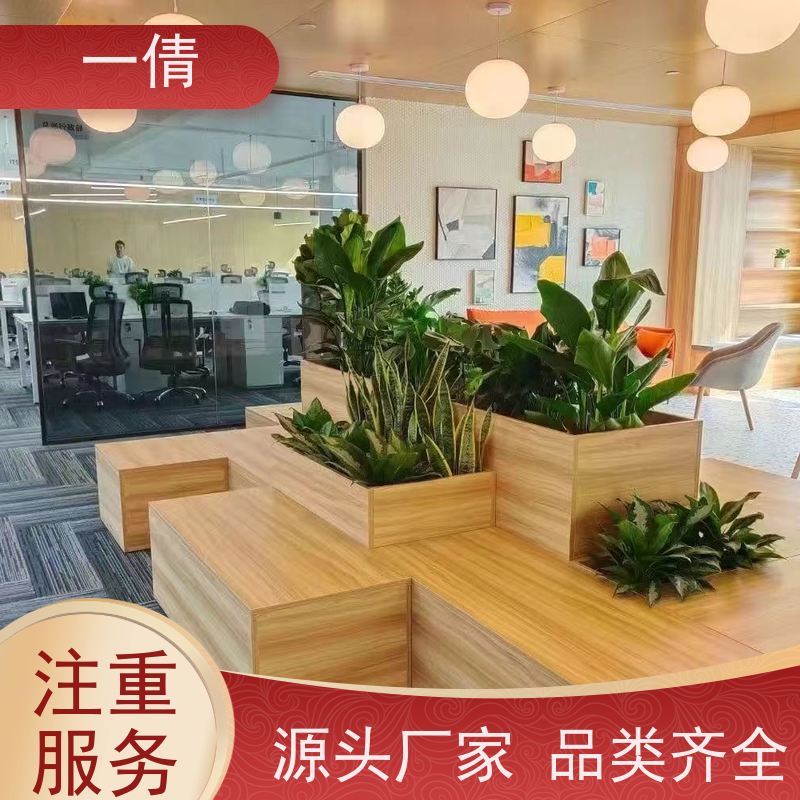 一倩花卉 墨兰 绿植租赁出售 种类繁多 规格齐全