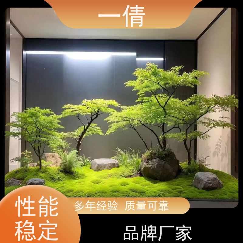 一倩花卉 白掌 绿植租赁出售 种类繁多 规格齐全