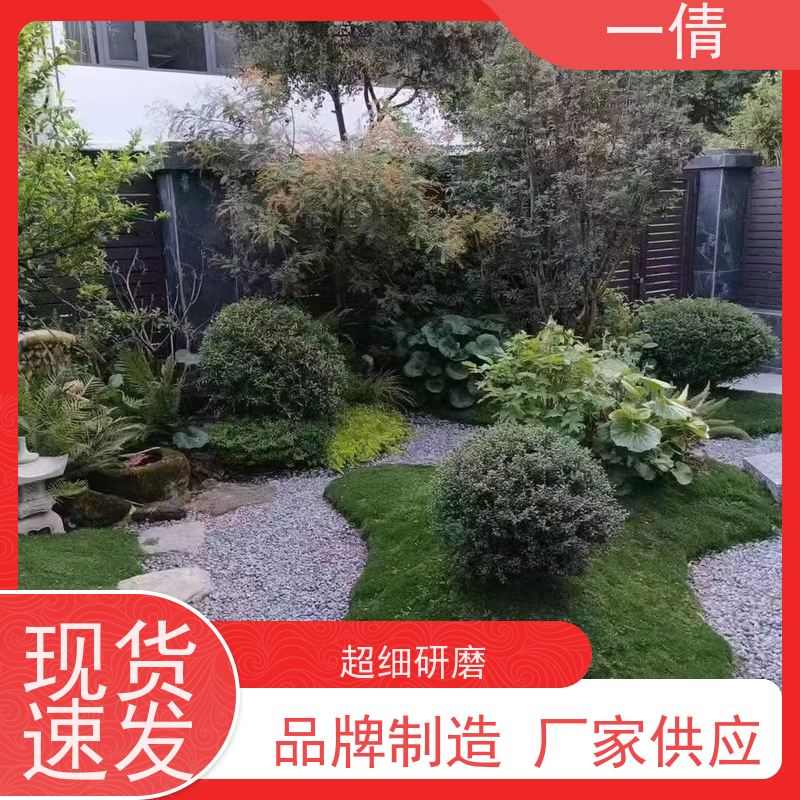 一倩花卉 砖石翡翠 绿植租赁出售 种类繁多 规格齐全