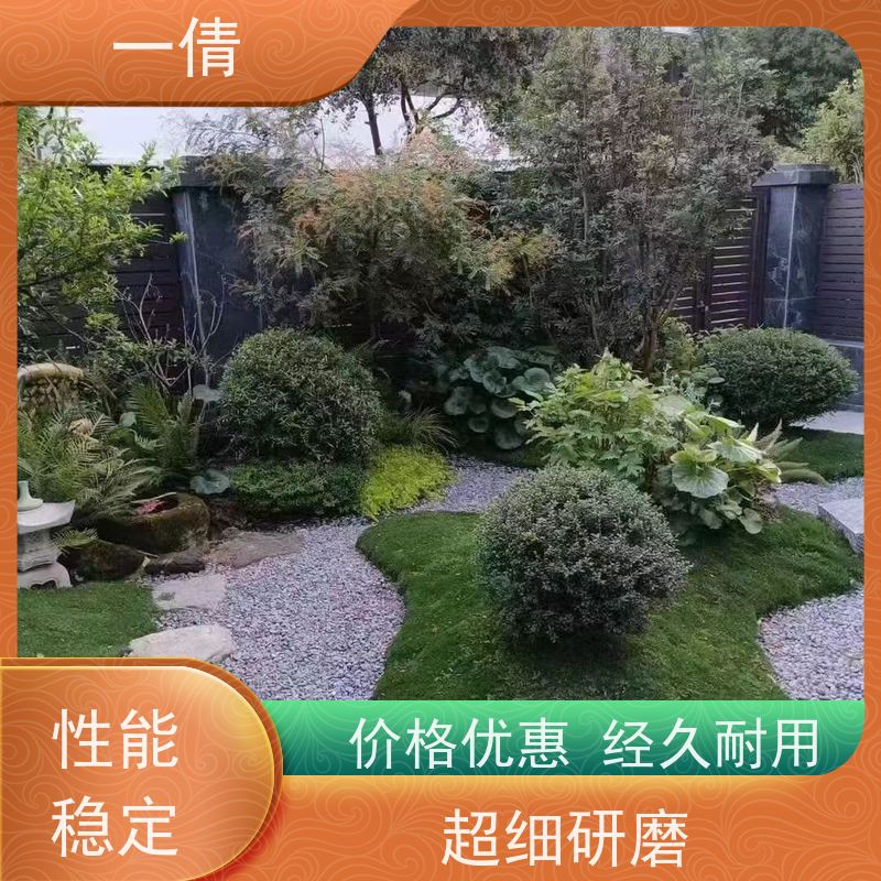 一倩花卉 鸭脚木 绿植租赁出售 种类繁多 规格齐全