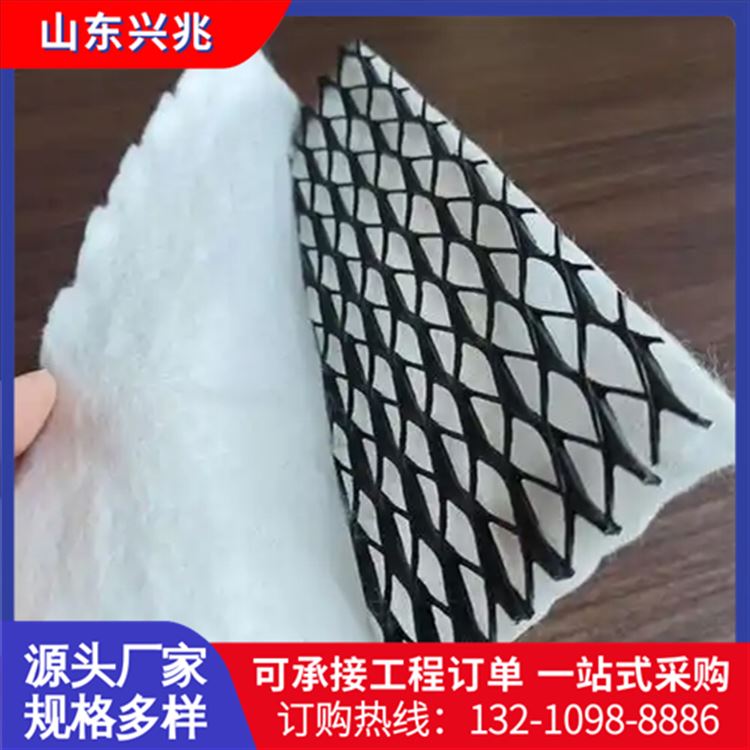 5mm厚三维复合排水网 路基排水用聚乙烯排水网垫 3m可定制