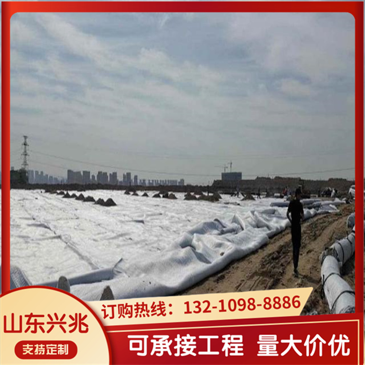 垃圾填埋场三维复合排水网 高密度聚乙烯双肋网芯长丝土工布