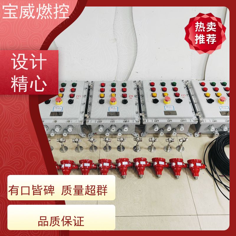 宝威燃控 工业炉 熄火检测保护装置 快速响应 性能稳定
