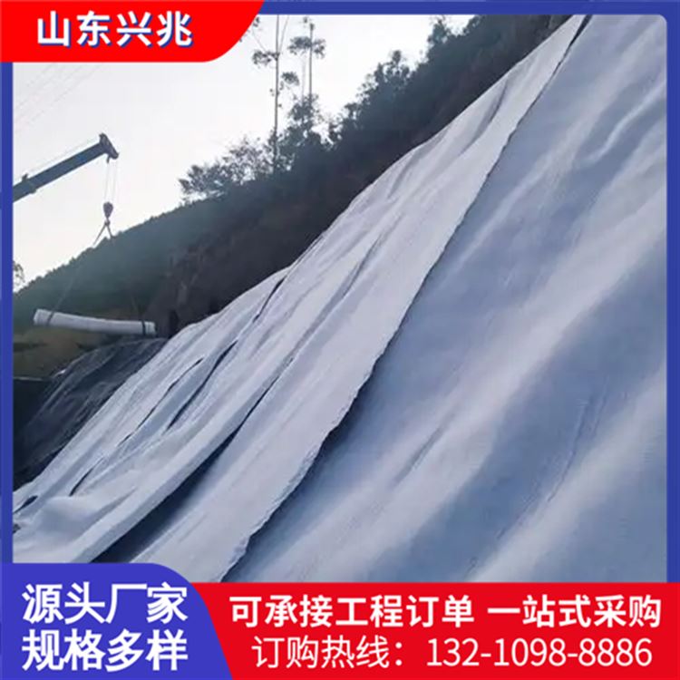 人工湖渗水挡土墙导流 铁路隧道过滤垃圾填埋 三维复合排水网