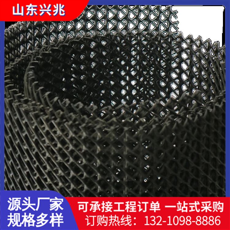 垃圾填埋场三维复合排水网 路基聚乙烯土工网 土工排水网垫