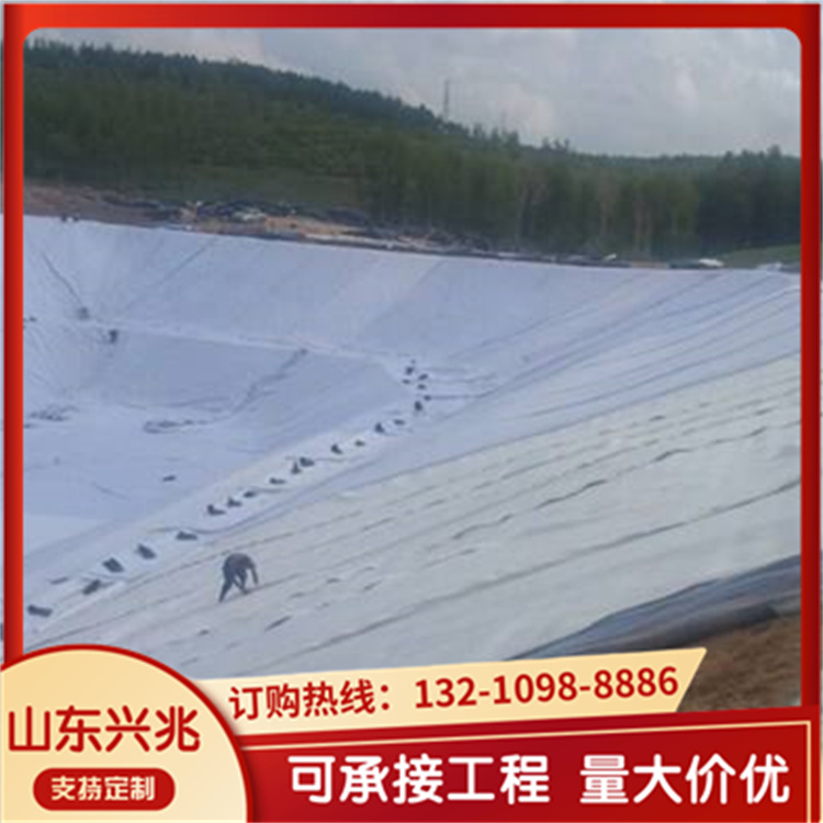 工程材料 排水工程 土工排水隔离垫 反滤排水 8mm网芯