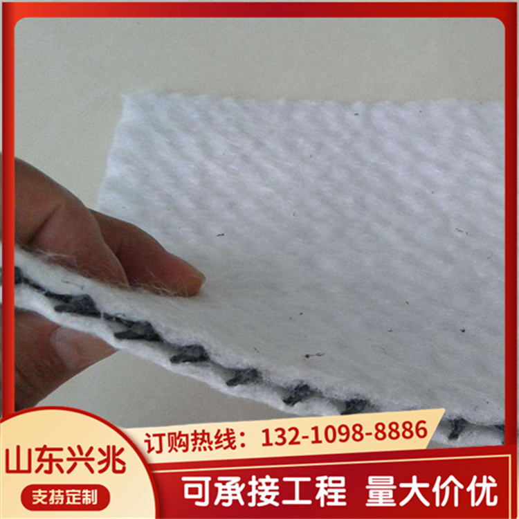 土工复合排水网 用于鱼塘防水藕池防渗等 兴兆环境